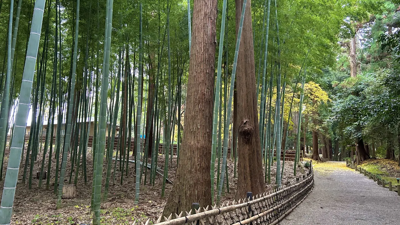 茨城県