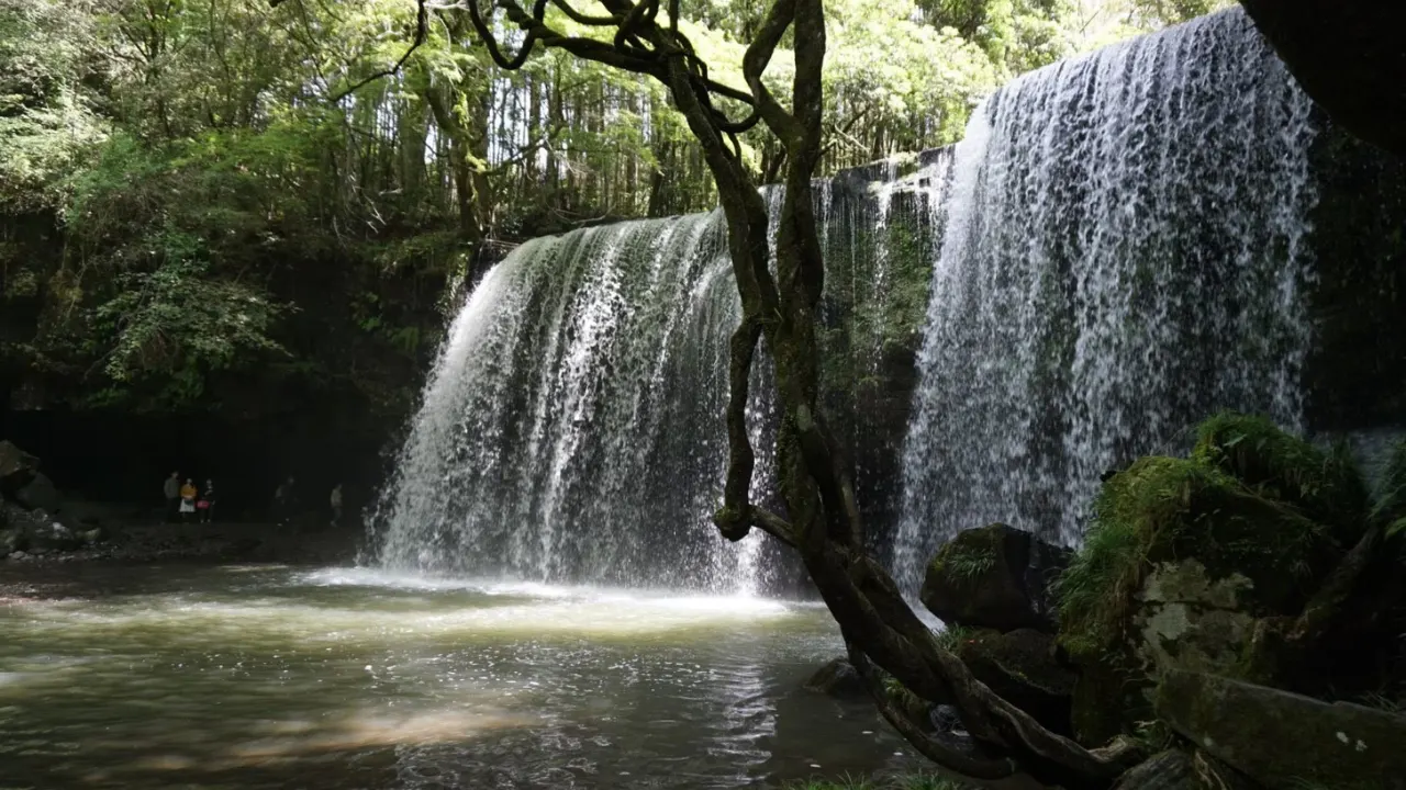 熊本県