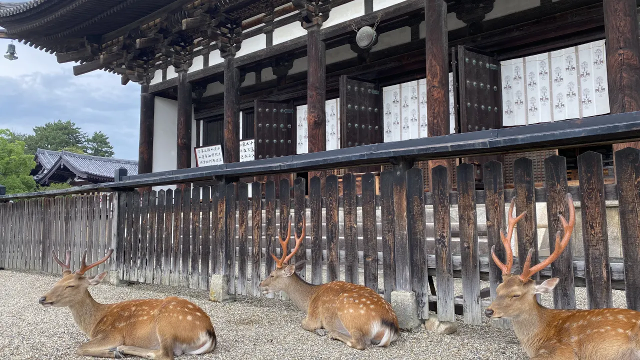 奈良県